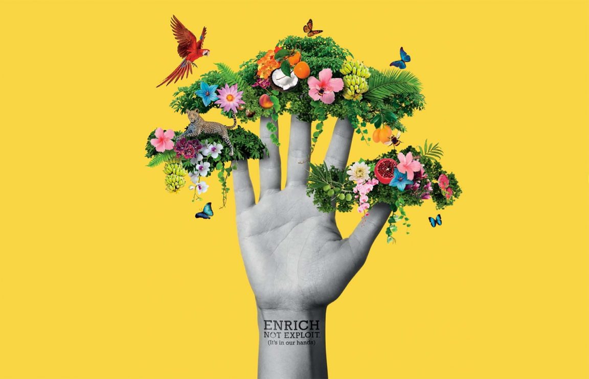 Insights enrich not exploit