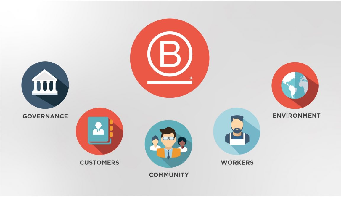 Insights how to become a b corp