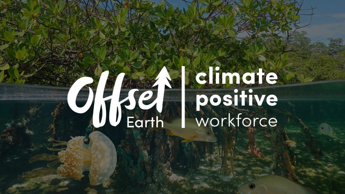 Insights offset earth