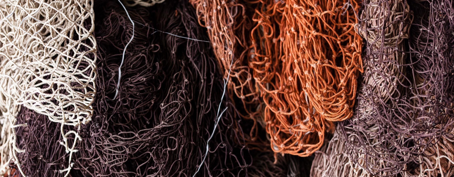 Brands coral eyewear 03