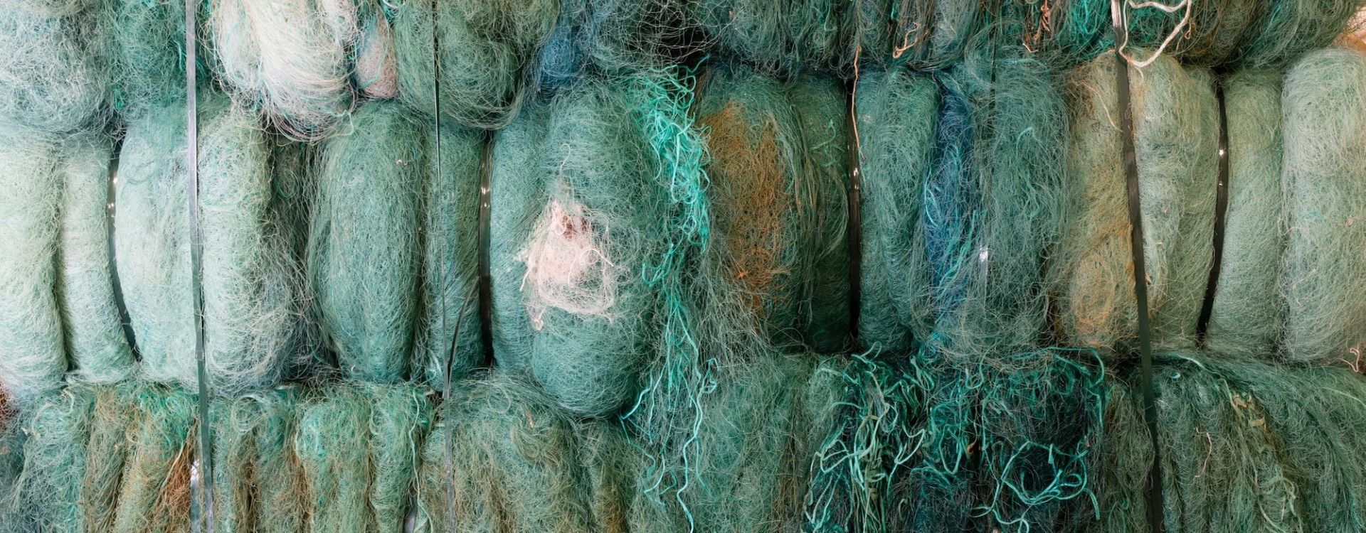 Brands coral eyewear 04