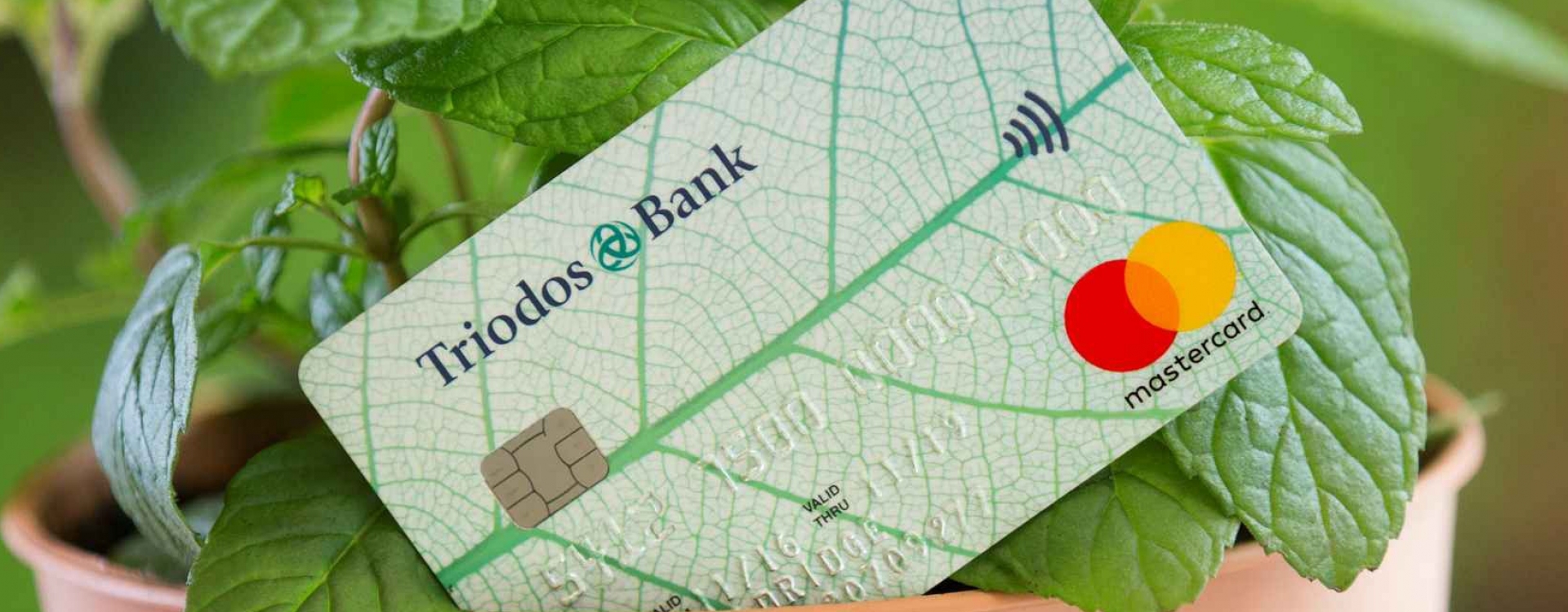 Brands triodos bank 04