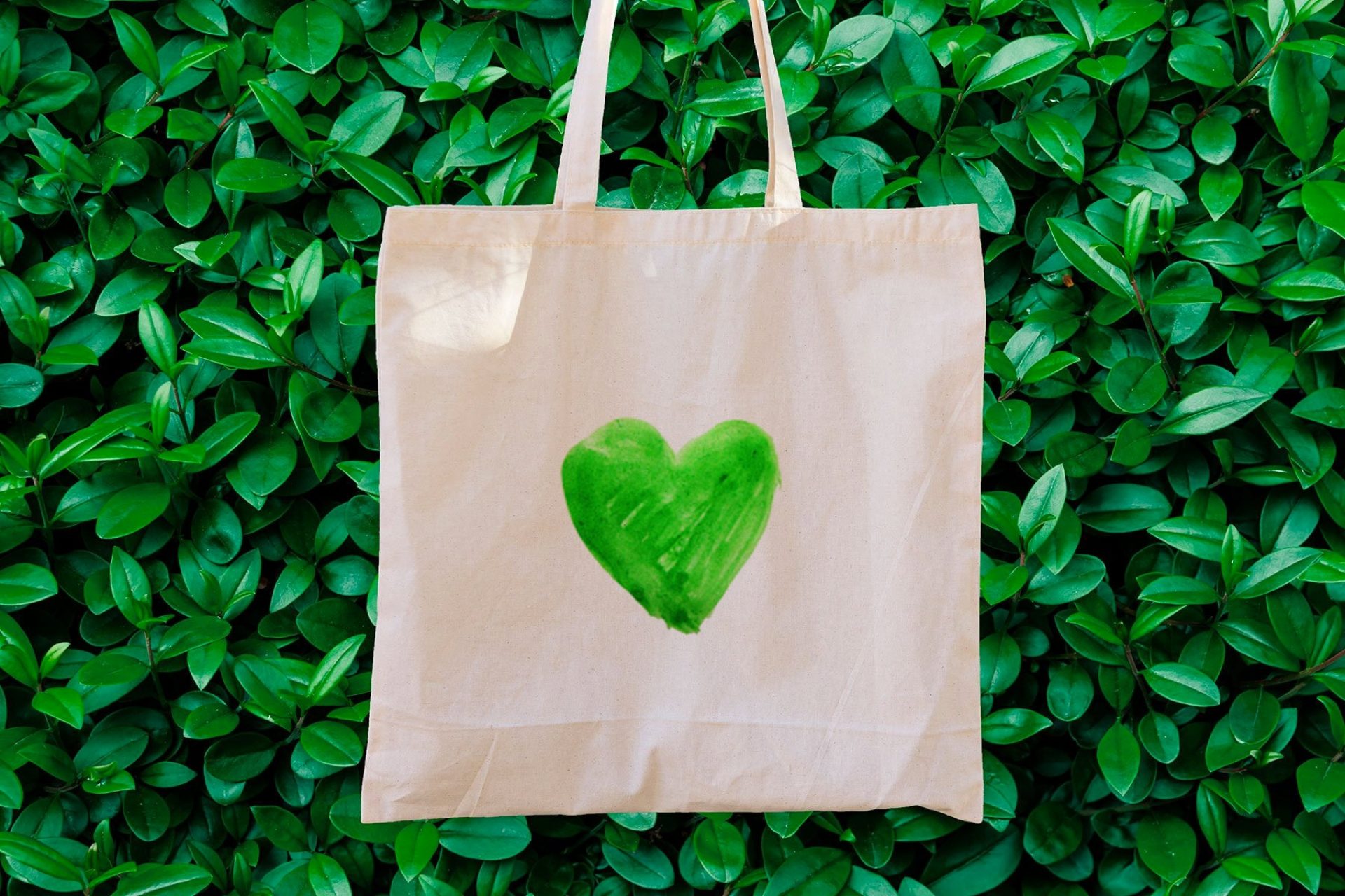 Insights rise conscious consumer