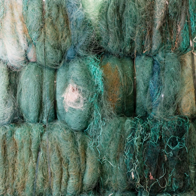 Brands coral eyewear 04