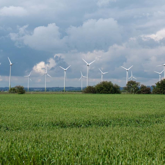 Brands ecotricity 02