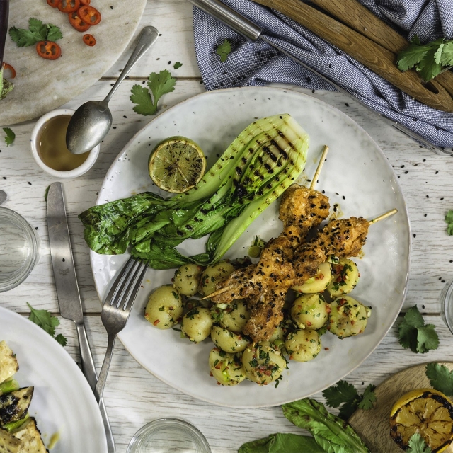 Brands mindful chef 07