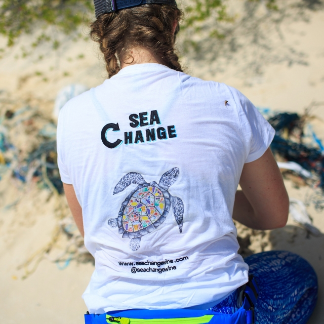 Brands sea change 02