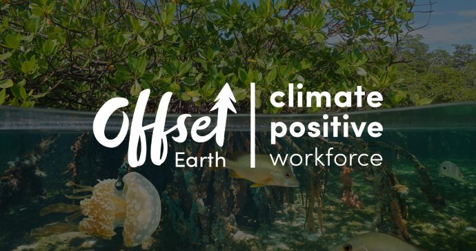 Insights offset earth