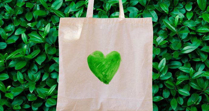 Insights rise conscious consumer