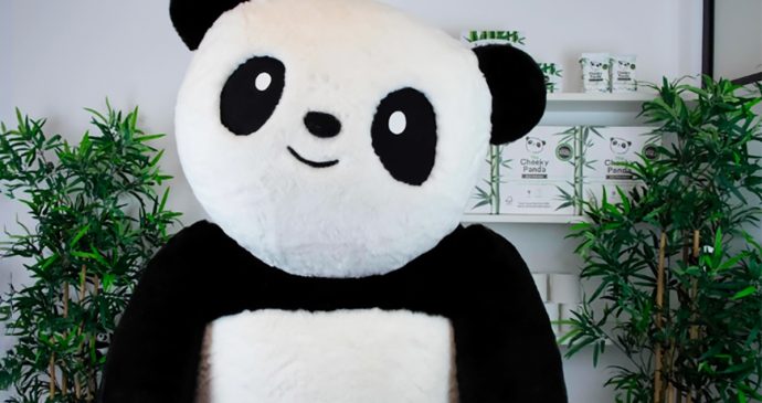 Insights the cheeky panda