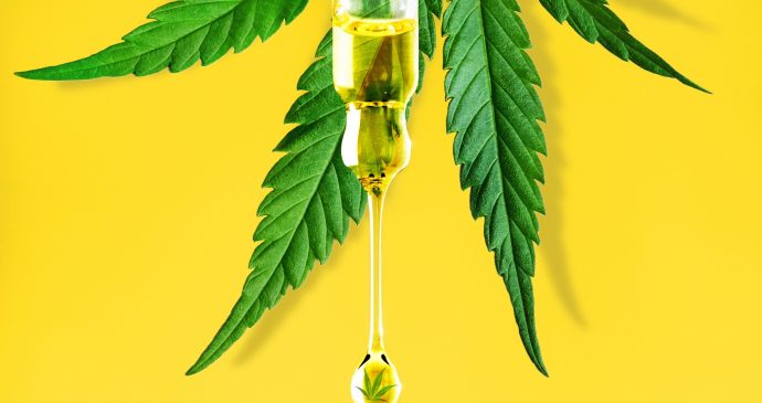 Insights win trust in the cbd market