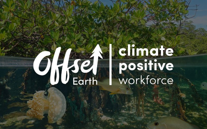 Insights offset earth