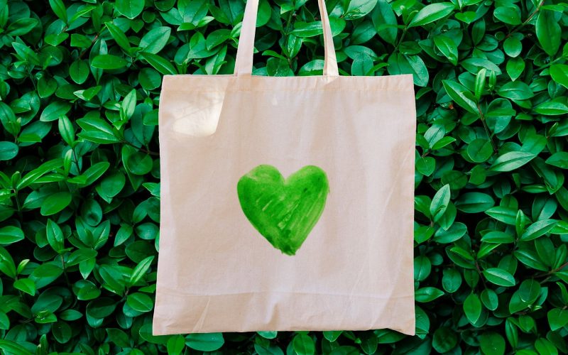 Insights rise conscious consumer