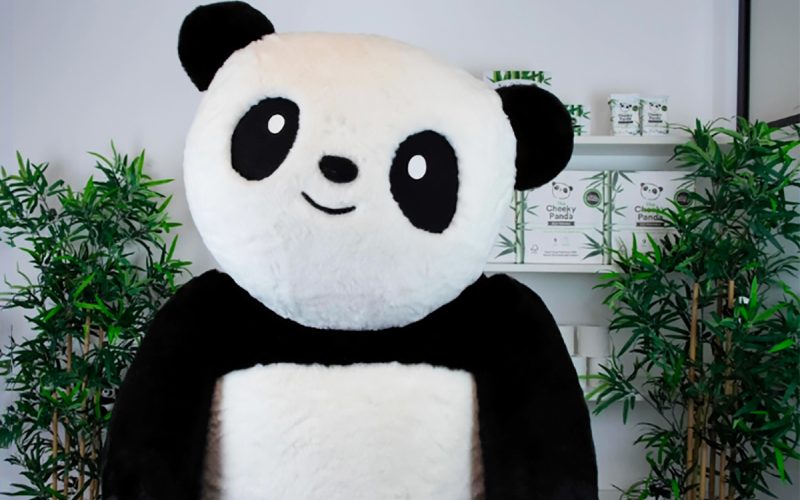 Insights the cheeky panda