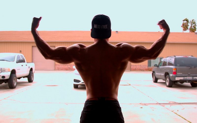 Insights the game changers