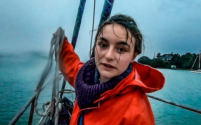 Insights weather the storm