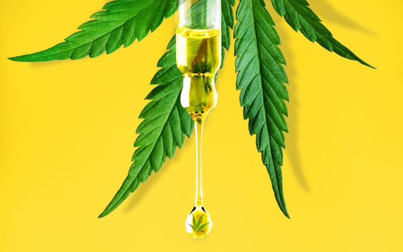 Insights win trust in the cbd market